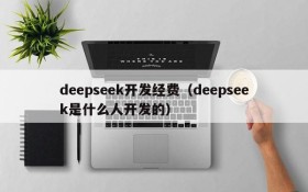 deepseek开发经费（deepseek是什么人开发的）