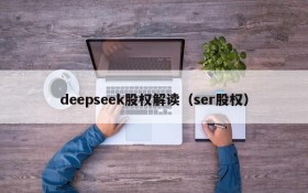 deepseek股权解读（ser股权）