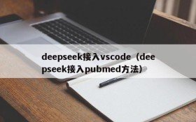 deepseek接入vscode（deepseek接入pubmed方法）