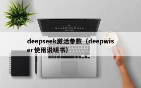 deepseek激活参数（deepwiser使用说明书）