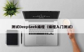测试DeepSeek编程（编程入门测试）
