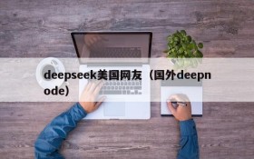 deepseek美国网友（国外deepnode）