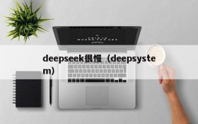 deepseek很慢（deepsystem）