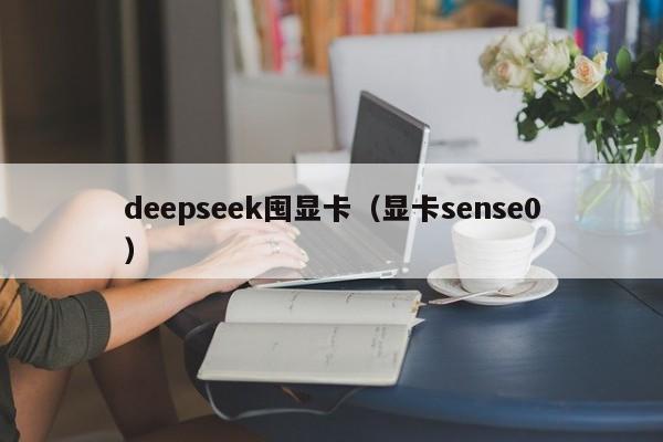 deepseek囤显卡（显卡sense0）