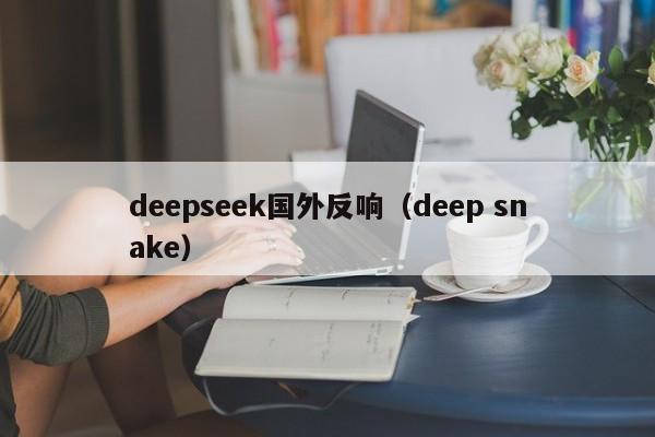 deepseek国外反响(deep snake)