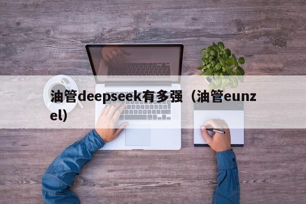 油管deepseek有多强(油管eunzel)