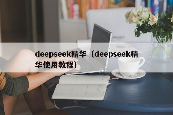 deepseek精华（deepseek精华使用教程）