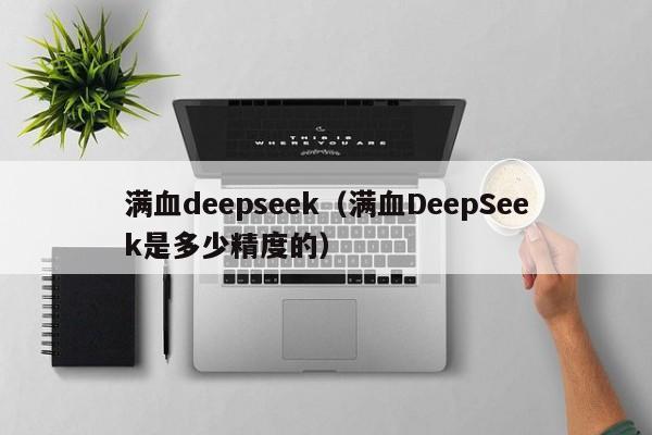 满血deepseek(满血DeepSeek是多少精度的)