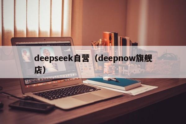 deepseek自营（deepnow旗舰店）