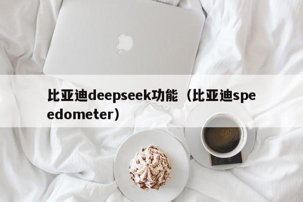 比亚迪deepseek功能（比亚迪speedometer）